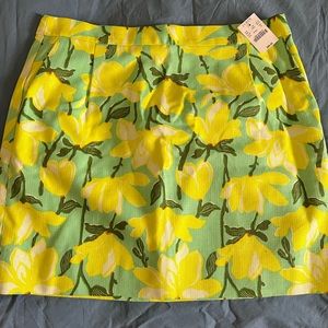 JCREW skirt- never worn new with tags!
